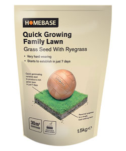 Quick growing family lawn seed
